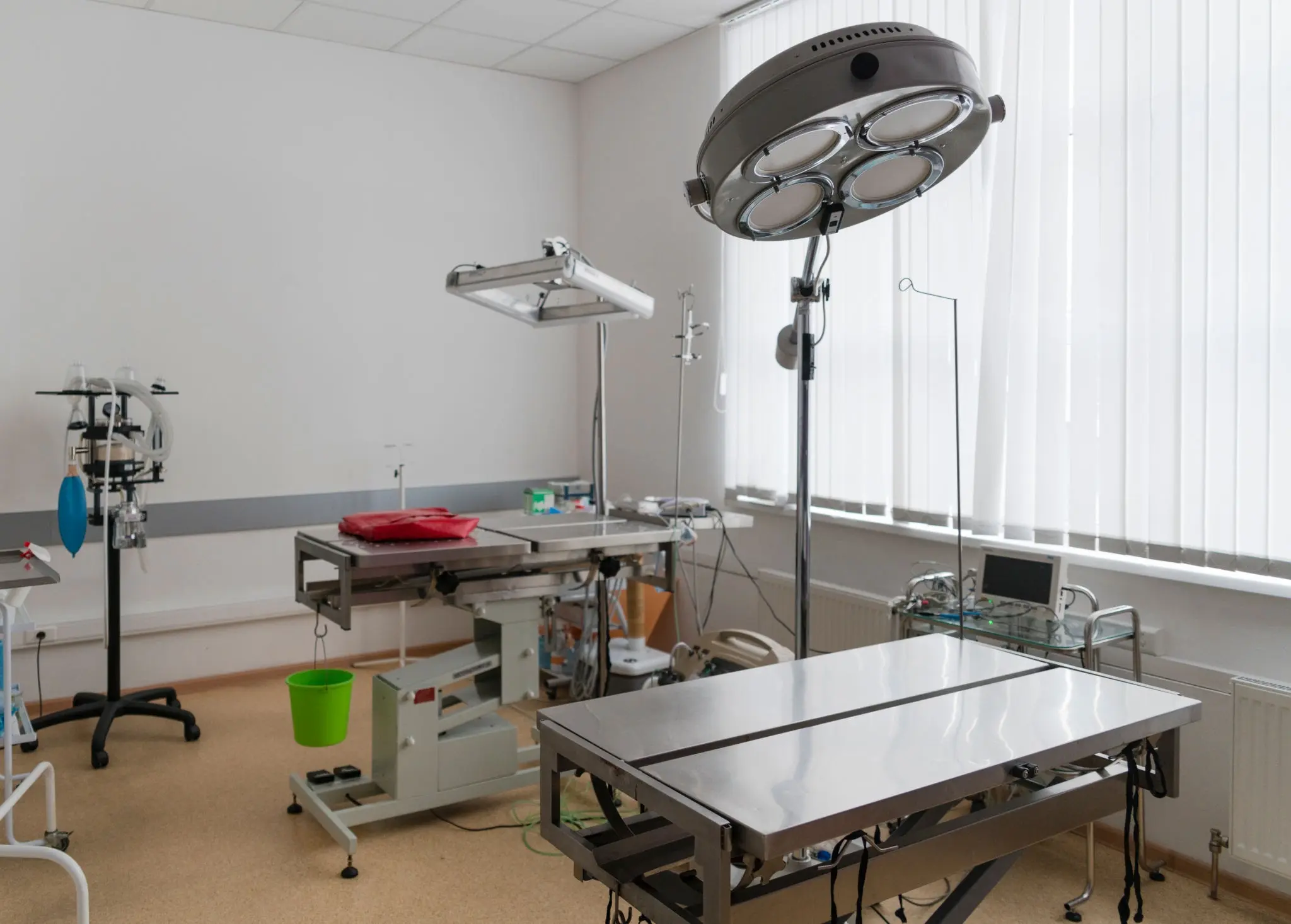 Sterile veterinary surgical theater with monitoring equipment in San Jose clinic